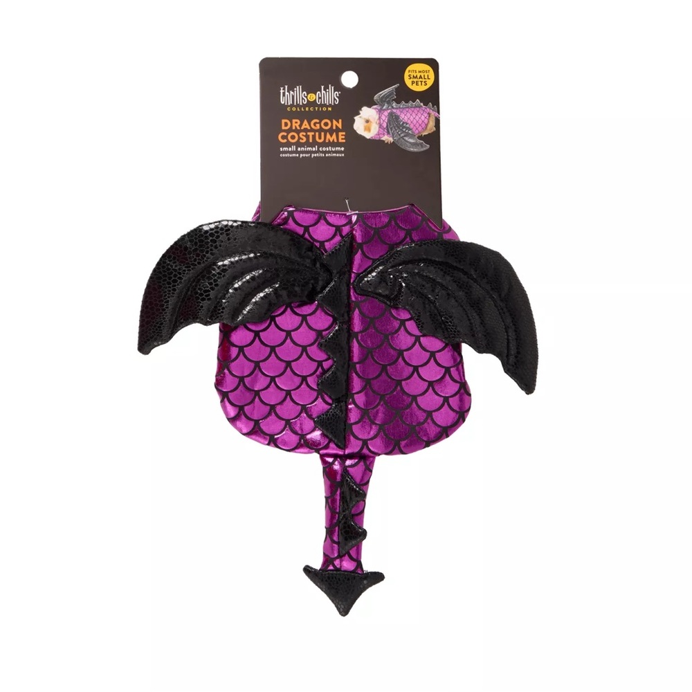 Dragon costume for small pets